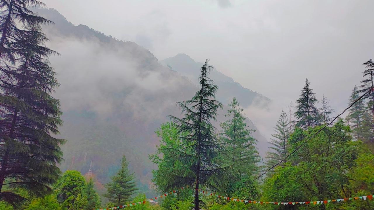 Shanti People Huts & Camp Kasol Exterior foto